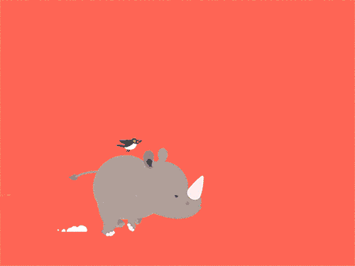 dribbble-gif-8.gif